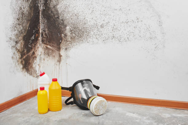 Best Emergency Mold Removal  in Redfield, SD