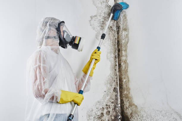 Best Water Damage Restoration  in Redfield, SD