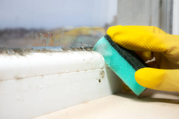 Best Mold Cleaning Services  in Redfield, SD