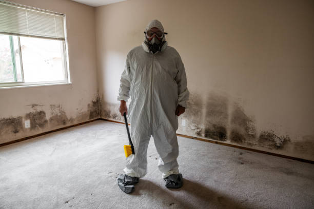 Best Fast Mold Removal  in Redfield, SD